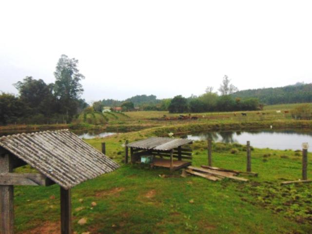 Área de 6 ha - Costa da Serra - Montenegro - 37 - Foto 7