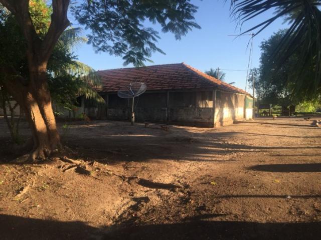 FAZENDA A VENDA EM CORUMBA - MS (Pecuária) - Foto 6