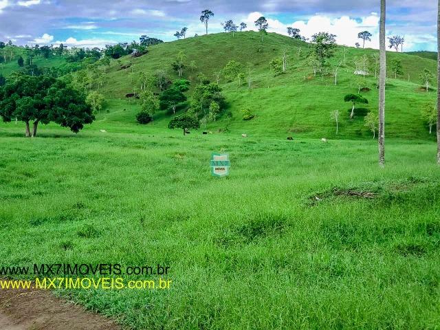 Itaju do Colônia. Linda Fazenda pecuária de 375 Hectares - Foto 17