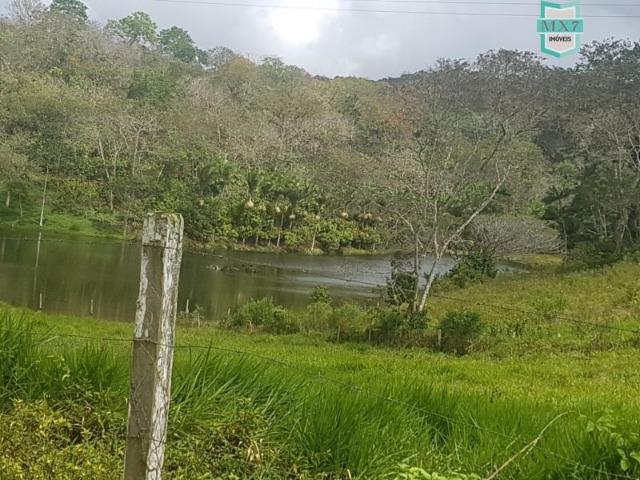 Igrapiúna. Fazenda com 845 Hectares e cachoeira, cacau, pupunha e seringa. - Foto 19