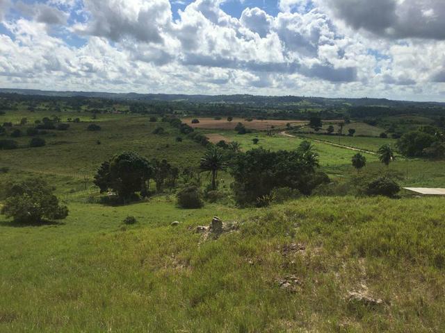 Fazenda na Cidade de Mata de São João - Foto 14