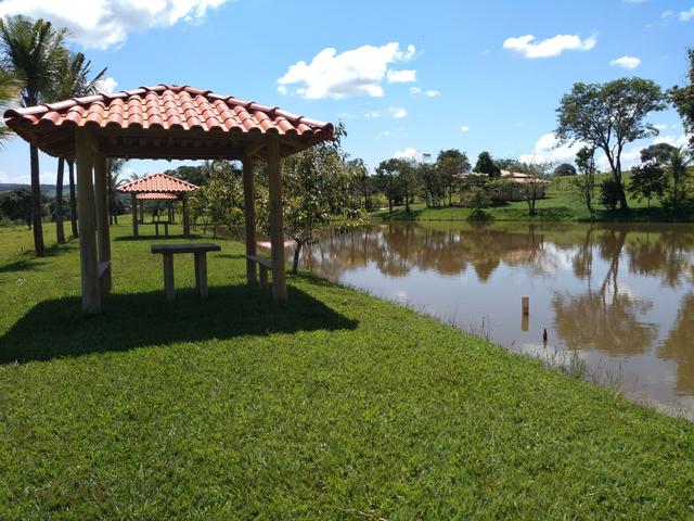 Chácara de 1 alqueire entre Ouro Verde e Petrolina, com muita água - Foto 9