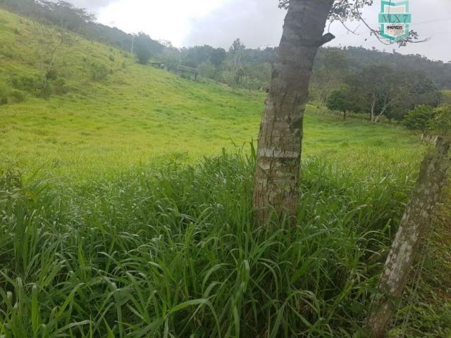 Igrapiúna. Fazenda com 845 Hectares e cachoeira, cacau, pupunha e seringa. - Foto 14
