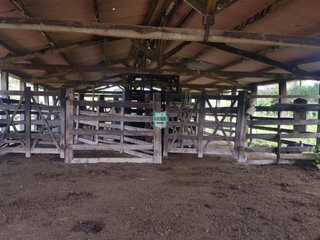 Ipiaú. Fazenda pecuária com 418 Hectares, completa infraestrutura - Foto 15