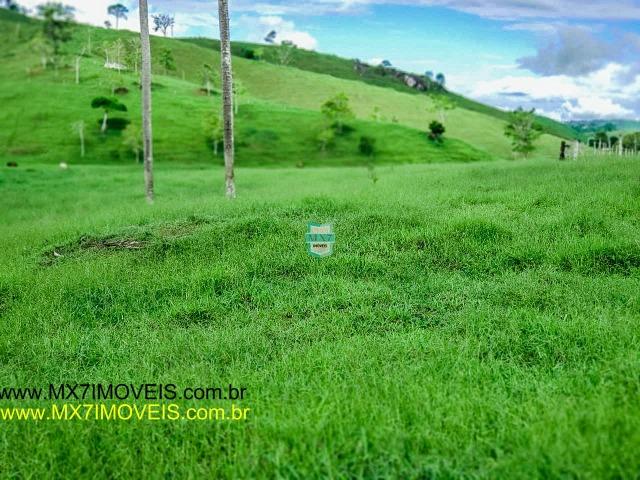 Itaju do Colônia. Linda Fazenda pecuária de 375 Hectares - Foto 16