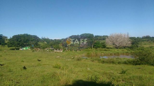 Sítio rural à venda, Agrisa, Cabo Frio - Foto 14