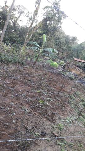 Chácara área rural porteira fechada - Foto 8