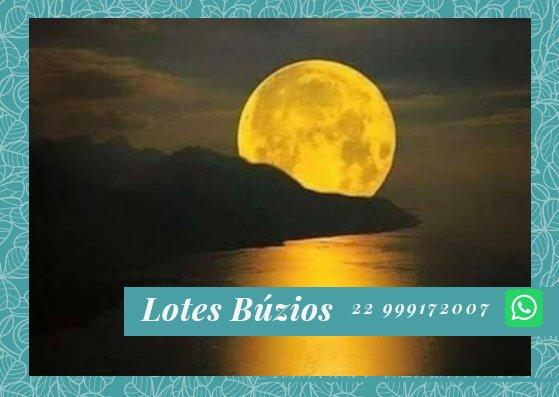 Loteamento mensais de 559,00