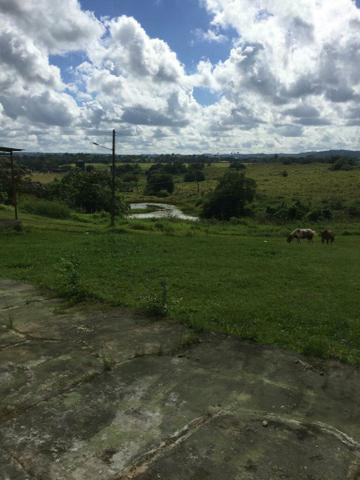 Fazenda na Cidade de Mata de São João - Foto 4