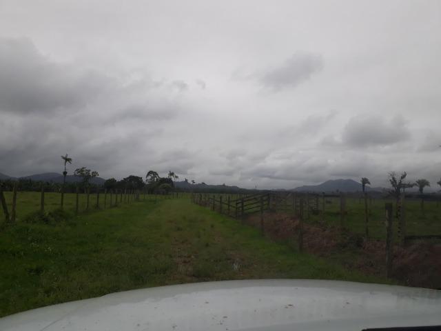 Fazenda Plana toda Aproveitável, Valor muito Atrativo do que Pedem Na Região - Foto 11