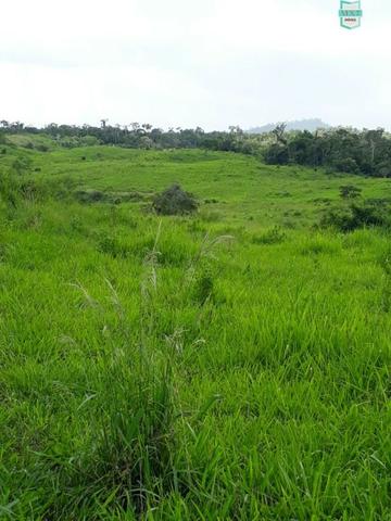 Itaju do Colônia. Fazenda de 400 Hectares. para pecuária. - Foto 14