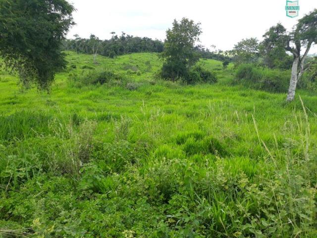 Itaju do Colônia. Fazenda de 400 Hectares. para pecuária. - Foto 9