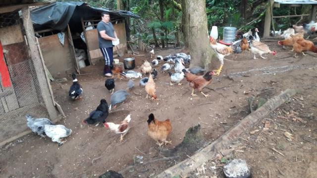 Chácara área rural porteira fechada - Foto 14
