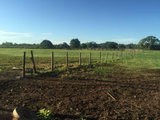 FAZENDA A VENDA EM CORUMBA - MS (Pecuária)