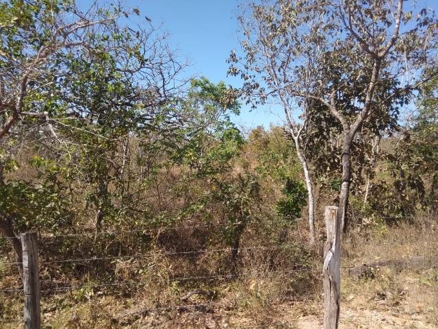 Chácara km 22 estrada da guia - Foto 17