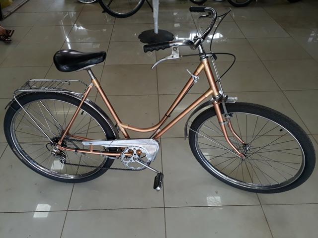 Bicicleta ipanema
