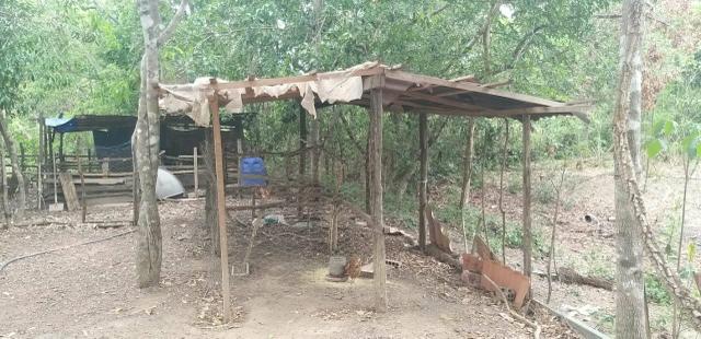 Vende - se está chácara - Foto 4