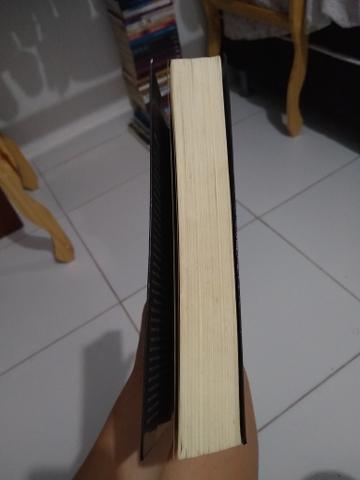 A hospedeira - Livro - Foto 3