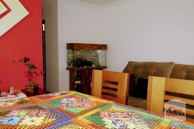 Apartamento à venda com 2 dormitórios em Carlos prates, Belo horizonte cod:256781 - Foto 2