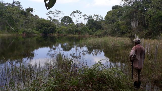 Fazenda em camamu R$ 1.500.00 a tarefa a mais barata do Brasil - Foto 6