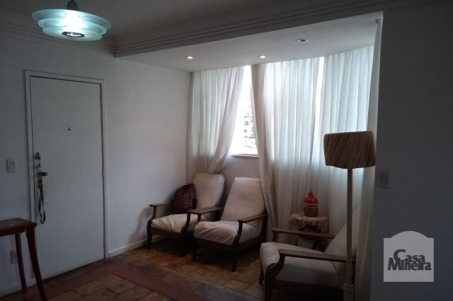 Apartamento à venda com 3 dormitórios em Padre eustáquio, Belo horizonte cod:256094 - Foto 2
