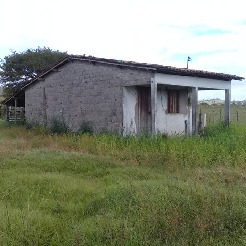 Vendo propriedade na cidade de Igreja Nova Alagoas