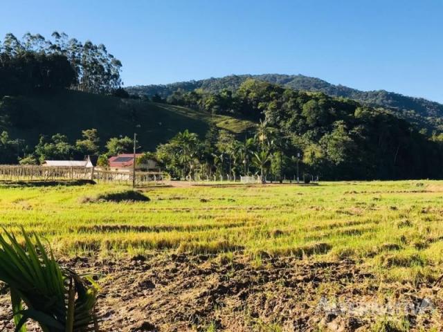 Excelente chácara em ascurra sc. a 03 km do centro - oportunidade. - Foto 7