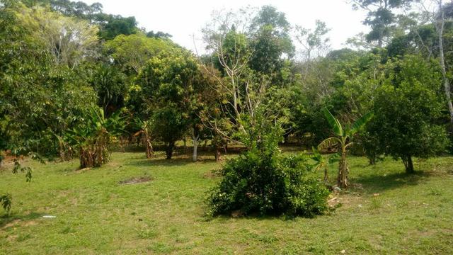 Vendo essa chácara-em rio branco ac - Foto 2