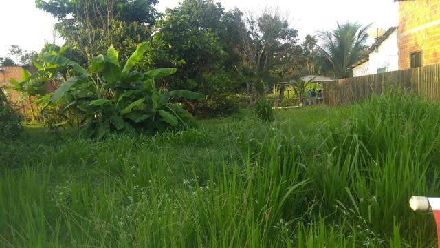 Terreno medindo 11 de frente por 30 de fundos - Foto 2