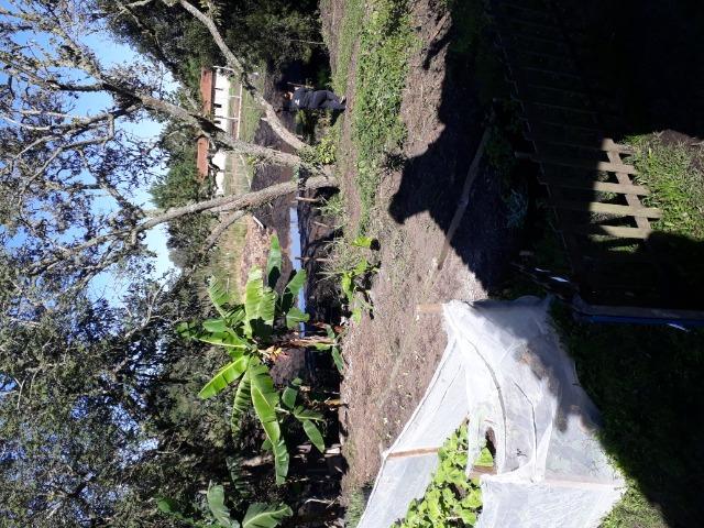 Chácara - Foto 13