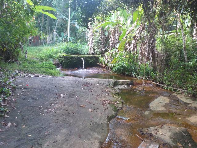 Vendo uma casa na Ilha de itacuruca - Foto 9