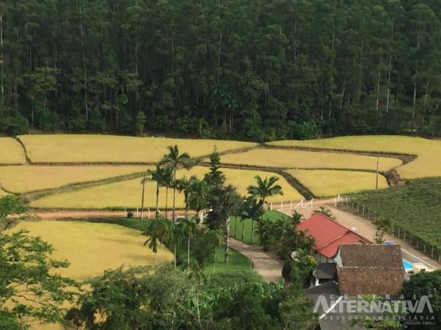 Excelente chácara em ascurra sc. a 03 km do centro - oportunidade. - Foto 5