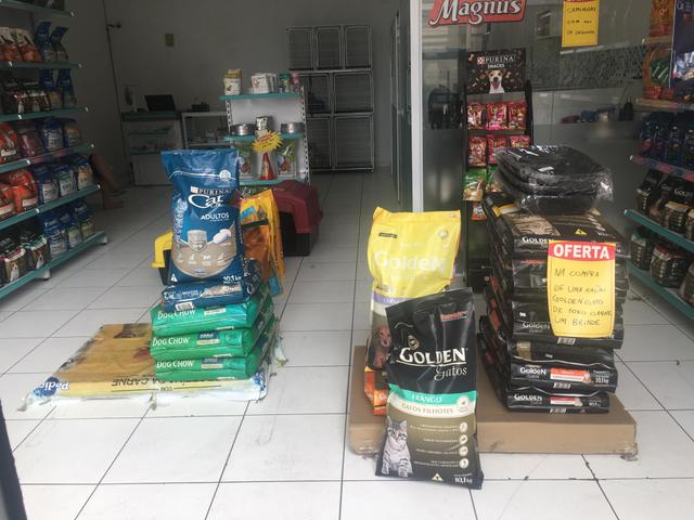 Vendo pet shop - Foto 2