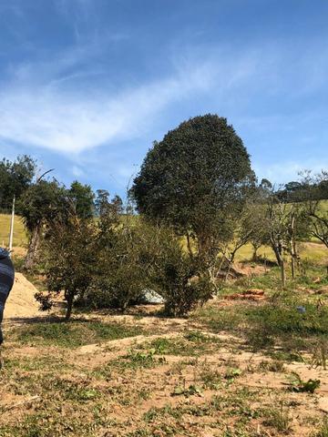 L.o1 terrenos a venda em mairiporã 1.000m² - Foto 3