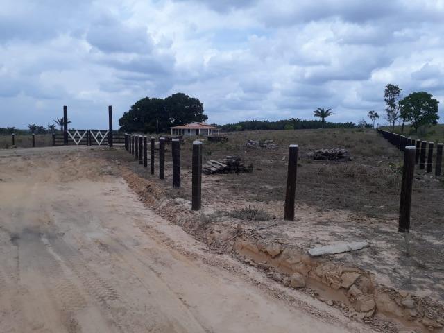 Vendo fazenda com 315 Hectares de terra!! - Foto 10