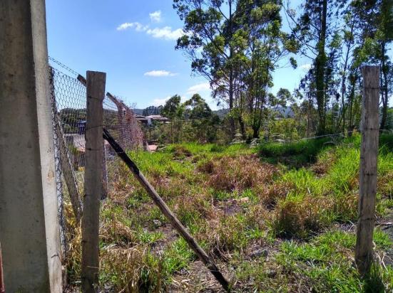 Terreno à venda em Pavão (canguera), São roque cod:61928 - Foto 5