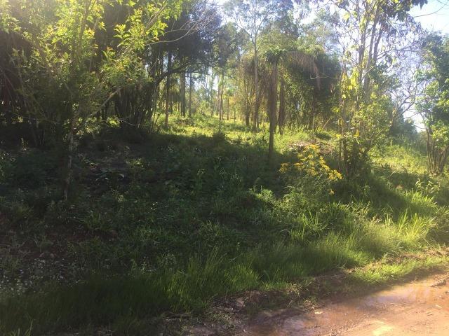 Vendo Lindíssima Chácara com Escritura na hora!! Local Urbano, com Luz e internet!! - Foto 3