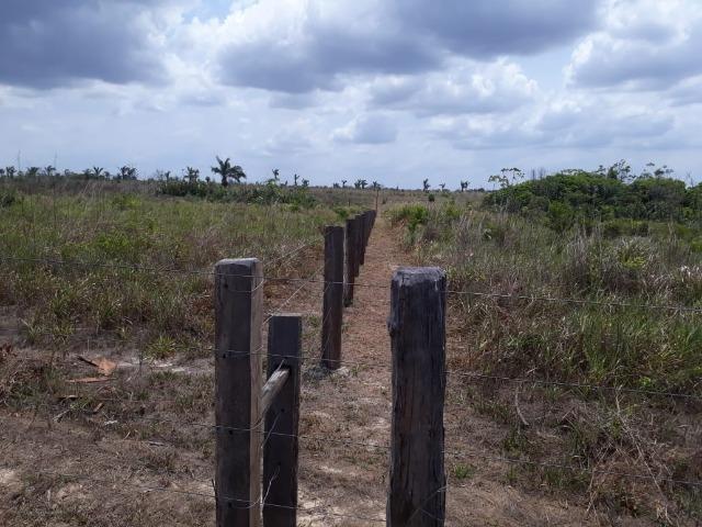 Vendo fazenda com 315 Hectares de terra!! - Foto 8