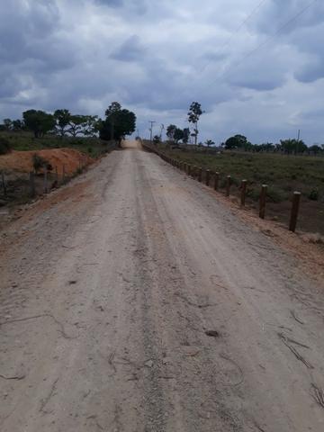Vendo fazenda com 315 Hectares de terra!! - Foto 7