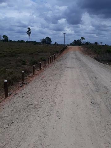 Vendo fazenda com 315 Hectares de terra!! - Foto 5