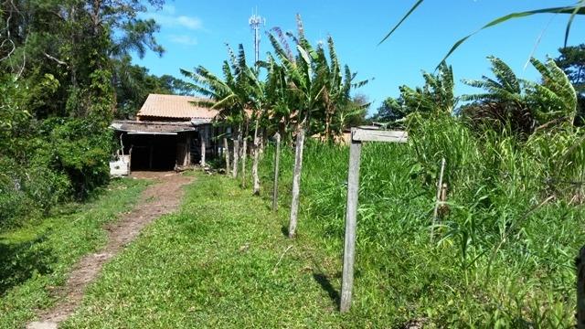 Chacara no Rio Vermelho muito bem localizado - Foto 7