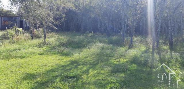 Chácara com 4.050 m², Passo das Tropas -Santa Maria - 10099 - Foto 13