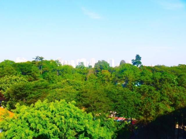 Apartamento à venda com 5 dormitórios em Granja julieta, São paulo cod:375-IM116140 - Foto 8