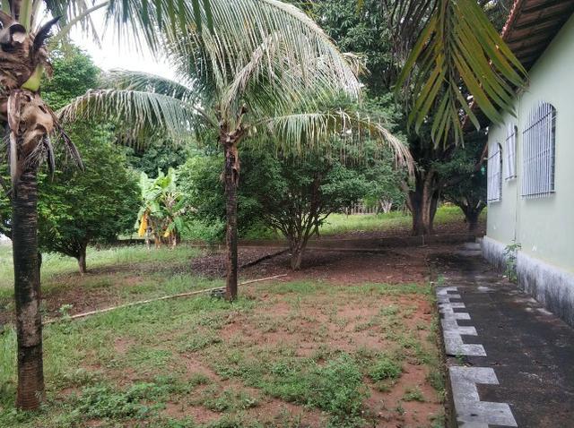 Sítio Beira do Rio São Francisco - Três Marias - MG - Foto 15