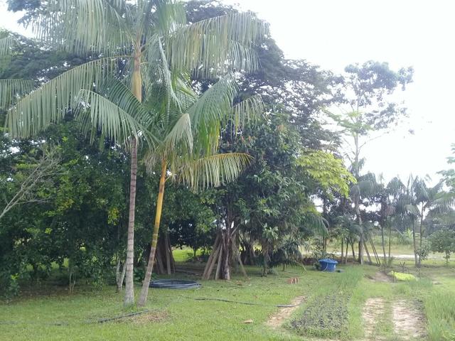 Chácara - Foto 18