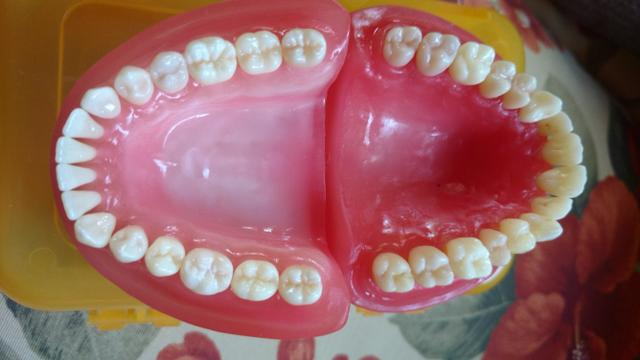 Manequim dentistica prodens - Foto 4