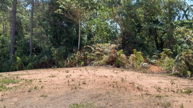 Terreno com 20.000m2 em Pedra Azul | Domingos Martins - Foto 13