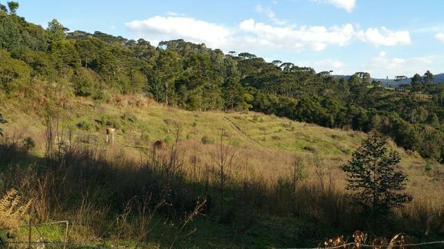 Sitio em Urubici /chacara em Urubici - Foto 4