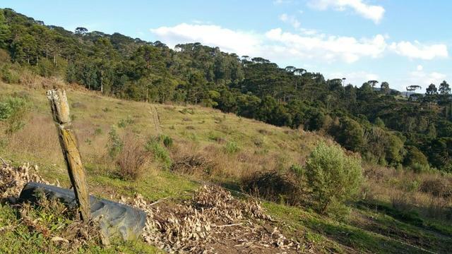 Sitio em Urubici /chacara em Urubici - Foto 5