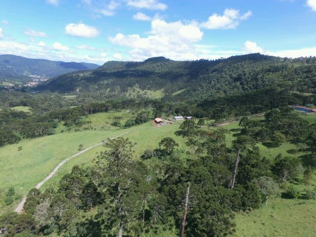 Sitio em Urubici /chácara em Urubici - Foto 7